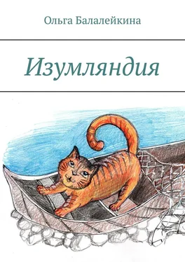 Ольга Балалейкина Изумляндия обложка книги
