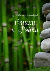 Владимир Шевцов - Стихи и Рэйки