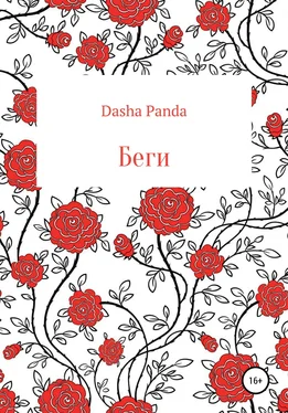 Dasha Panda Беги обложка книги