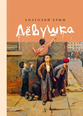 Анатолий Крым Лёвушка обложка книги