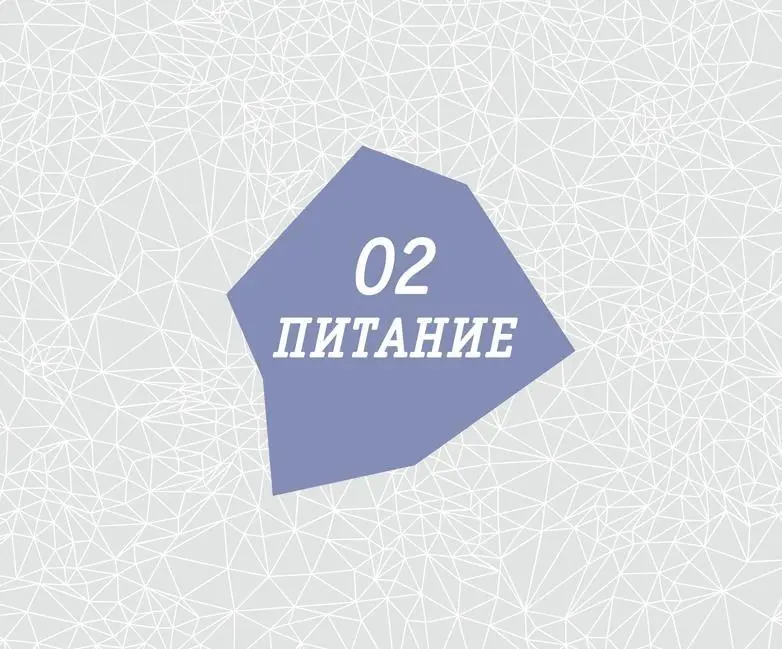 Введение Похоже надо чтонибудь съесть Мэри плетется на кухню протирая - фото 59