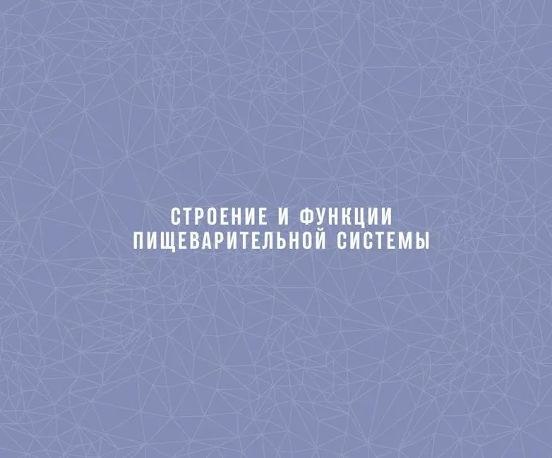 Пищеварительная система состоит из органов функции которых включают в себя - фото 67