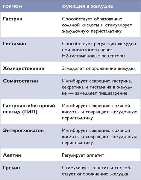 ТОНКАЯ КИШКА Тонкая кишка расположена между желудком и толстой кишкой Она - фото 72