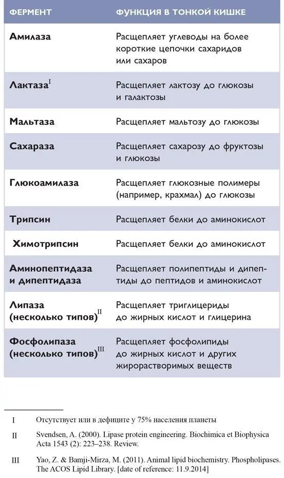 ТОЛСТАЯ КИШКА Толстая кишка примерно 15 м в длину расположена между тонкой - фото 75