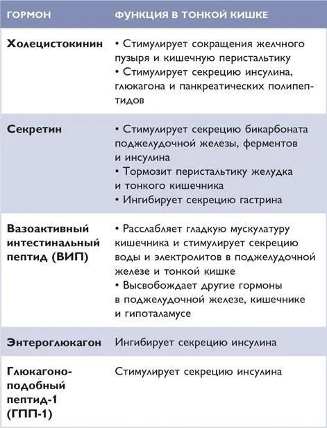 ТОЛСТАЯ КИШКА Толстая кишка примерно 15 м в длину расположена между тонкой - фото 76