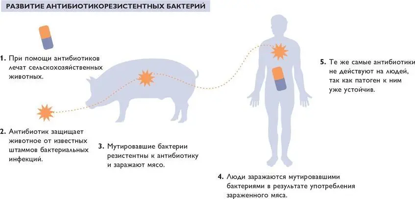 Исследователи из Алабамского университета судя по всему близки к прорыву в - фото 84