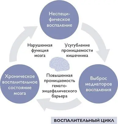 Устойчивое неспецифическое воспаление в организме также может усугубить - фото 87