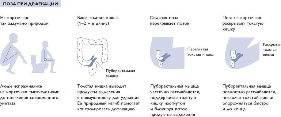 Гиперчувствительность и токсины Ингредиенты влияют на пищеварительную систему - фото 91