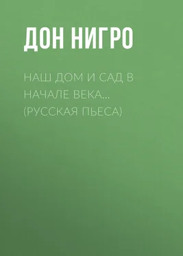 Дон Нигро Наш дом и сад в начале века… (Русская пьеса) обложка книги