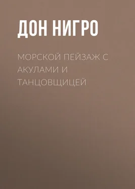 Дон Нигро Морской пейзаж с акулами и танцовщицей обложка книги