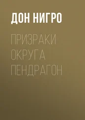 Дон Нигро - Призраки округа Пендрагон