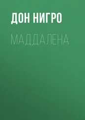 Дон Нигро - Маддалена