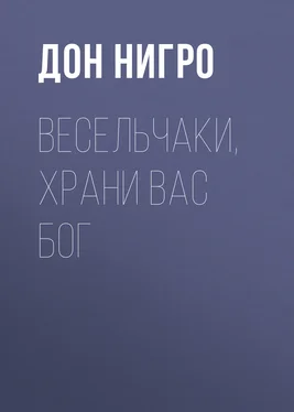 Дон Нигро Весельчаки, храни вас Бог! обложка книги