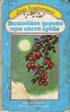 Додо Вадачкориа Вишнёвое дерево при свете луны обложка книги