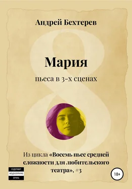 Андрей Бехтерев Мария обложка книги