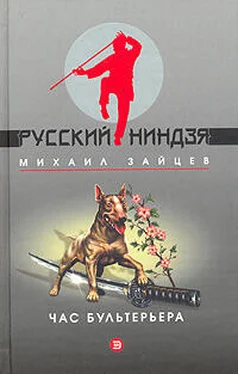 Михаил Зайцев Час бультерьера обложка книги