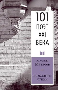 Александр Матвеев Свободные стихи обложка книги