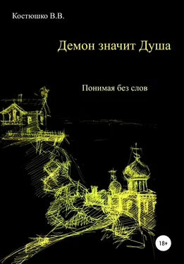 Владимир Костюшко Демон значит Душа. Понимая без слов обложка книги