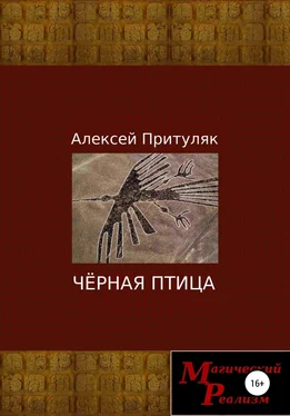 Алексей Притуляк Чёрная птица обложка книги