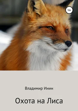 Владимир Инин Охота на Лиса обложка книги
