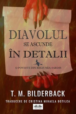 T. M. Bilderback Diavolul Se Ascunde În Detalii обложка книги