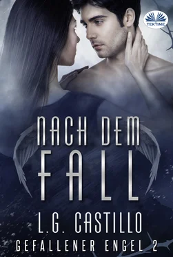 L. G. Castillo Nach Dem Fall (Gefallener Engel #2) обложка книги