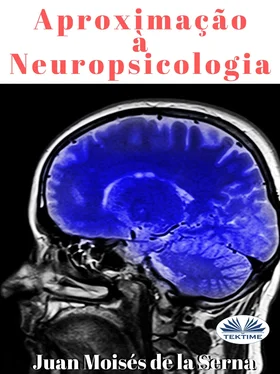 Juan Moisés De La Serna Aproximação À Neuropsicologia обложка книги