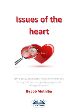 Job Mothiba Issues Of The Heart обложка книги
