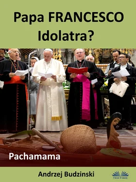 Andrzej Stanislaw Budzinski Papa Francesco Idolatra? Pachamama обложка книги