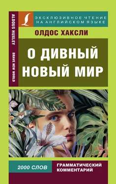 Олдос Хаксли О дивный новый мир / Brave New World обложка книги