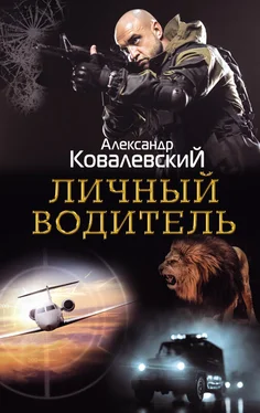 Александр Ковалевский Личный водитель обложка книги