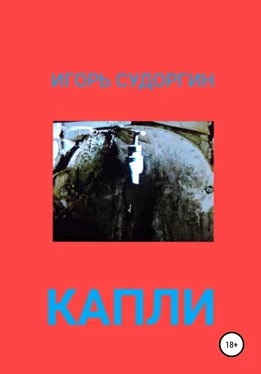 Игорь Судоргин Капли обложка книги