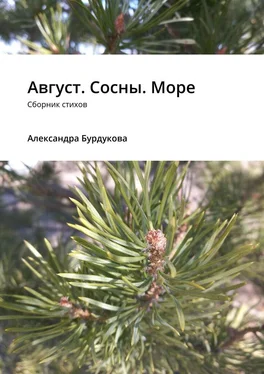 Александра Бурдукова Август. Сосны. Море. Сборник стихов обложка книги