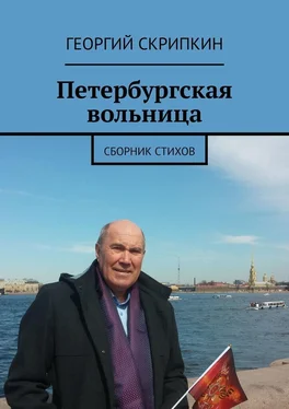 Георгий Скрипкин Петербургская вольница. Сборник стихов обложка книги