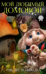Лидия Полякова - Мой любимый домовой
