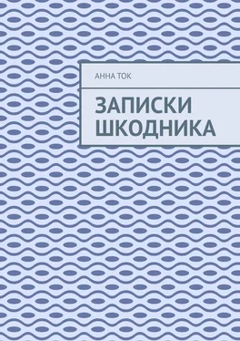 Анна Ток Записки Шкодника обложка книги