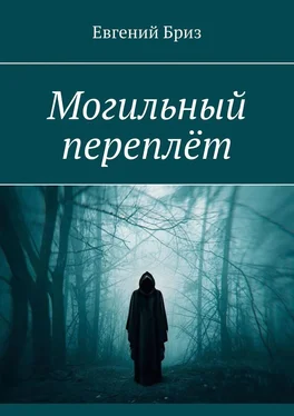 Евгений Бриз Могильный переплёт обложка книги