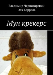 Владимир Черногорский - Мун крекерс