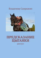 Владимир Сапрыкин - Предсказание цыганки. Рассказ