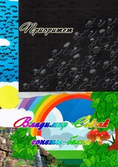 Владимир Савчик - Приоритет