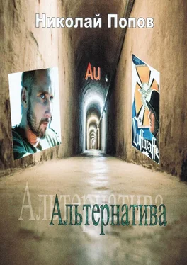 Николай Попов Альтернатива обложка книги