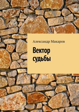 Александр Макаров Вектор судьбы обложка книги