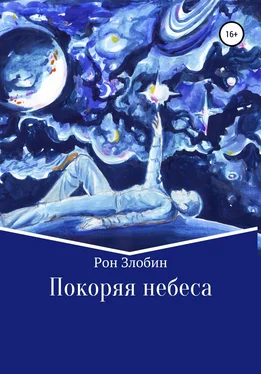 Рон Злобин Покоряя небеса обложка книги