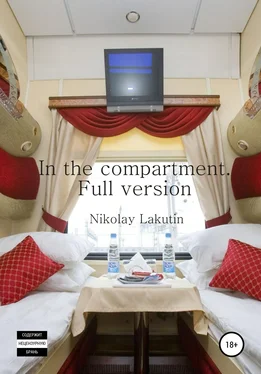 Nikolay Lakutin In the compartment. Full version обложка книги