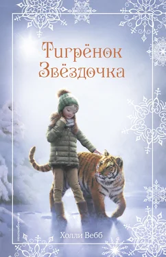 Холли Вебб Рождественские истории. Тигрёнок Звёздочка обложка книги