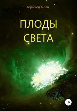 Антон Воробьев Плоды света обложка книги