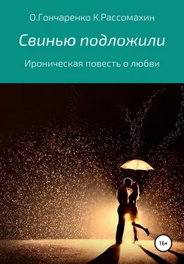 Константин Рассомахин Свинью подложили обложка книги