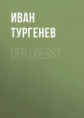 Iwan Turgenew - Der Oberst