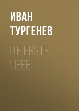 Iwan Turgenew Die erste Liebe обложка книги