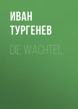 Iwan Turgenew Die Wachtel обложка книги